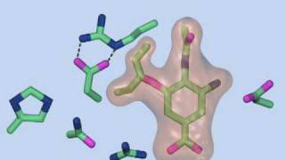 Mechanism of Resistance to Oseltamivir [upl. by Aerdnas]