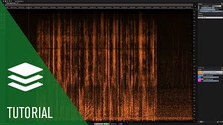 Voice Denoiser  Spectralayers Pro 7 Tutorials [upl. by Eiramana]