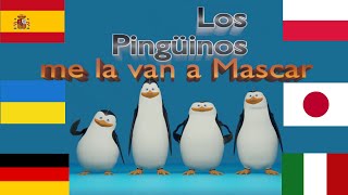 Los Pingüinos me la van a Mascar IN DIFFERENT LANGUAGES [upl. by Euphemie708]