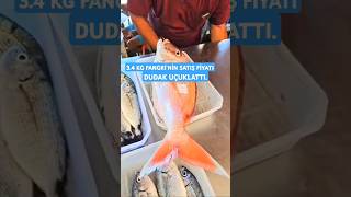 34 KG FANGRİ NİN SATIŞ FİYATI DUDAK UÇUKLATTI fish Fıshingseafoodbalıkmezatı [upl. by Dnomhcir]