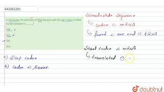 In eukaryotes the anticodon of tRNA that pairs with the start codon of mRNA during translation [upl. by Mazonson451]