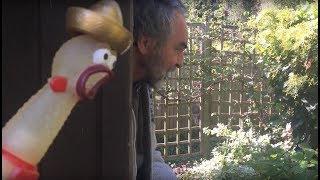 Rubber Chicken PRANKS Dad [upl. by Mera]