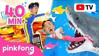 Run Away with Hoi and Sammy  Escape from the Sharks  More  Animal Songs  Official Pinkfong [upl. by Alyahc]