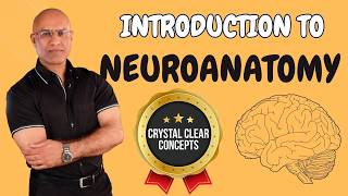 Intro to Neuroanatomy  Neurophysiology  Neuroscience  Central Nervous System [upl. by Enelehcim342]