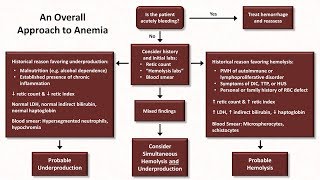 Anemia Lesson 5  An Approach to Diagnosis [upl. by Raveaux417]