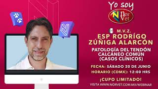 WEBINAR NORVET  Conferencia “Patología del tendón calcáneo común” MVZ Esp Rodrigo Zúñiga Alarcón [upl. by Joshi]