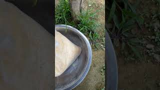 Free range chicken “making chicken layer feeds”episode 1 [upl. by Valora576]