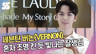 세븐틴 버논VERNON 혼자 조명 킨 듯 빛나는 잘생김 [upl. by Ahdar270]