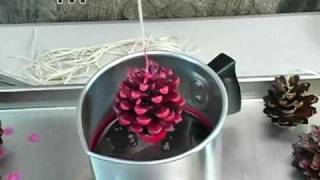 How to Pine Cone Fire Starters [upl. by Llecrup]