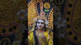 Baje re Baje Muraliya radhakrishna Status shreyaghoshal love song [upl. by Marcelia]