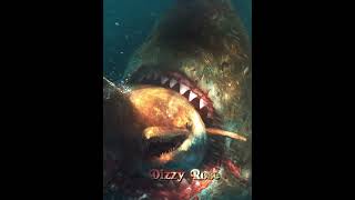 Megalodon vs Aust Colossus 1v1 edit shorts shark megalodon prehistoric vs animals fyp [upl. by Keeryt]