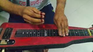 Saradin tomay bhebe  Steel Guitar cover by Debdutta Bandyopadhyay [upl. by Rangel]