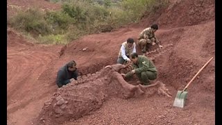 180 mlnyearold dinosaur fossils discovered in SW China [upl. by Ahsinoj728]