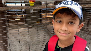 Aayan Diwali vacation vlog with familyNagpur birds park 🦜🦚🦩saranyaanand diwali nagpur discovery [upl. by Arrais861]