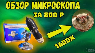 Обзор микроскопа Подойдёт ли для пайки Плюсы и минусы [upl. by Rockel538]