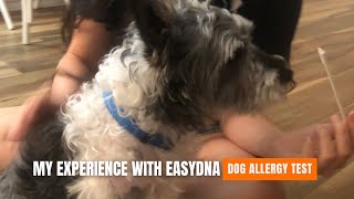 EasyDNA Dog Allergy Test Review Our Dogs Experience Results [upl. by Carolann]