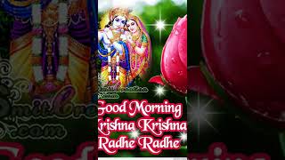 Vrindavan ka Krishna Kanhaiya song music love बागेश्वरधामlive newmusicrelease voiceeffects [upl. by Elwina]