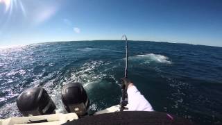 50KG GT topwater monte bello islands western Australia gt fishing [upl. by Moshe]