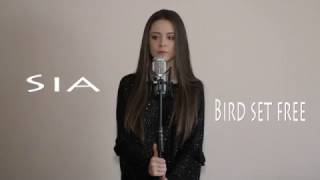 Sia  Bird set free  Daria T  Cover [upl. by Aibara]