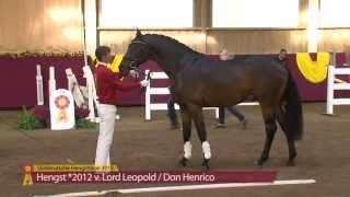 Lord Leopold  Don Henrico  KN 27 [upl. by Landon]