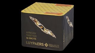 African Cheetah  Luypaers Nederland Exclusive Fireworks  8453 [upl. by Cyrill81]