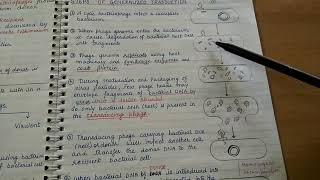 Transduction Genetic recombination in bacteria [upl. by Yuri]