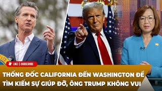 Cà Phê Sáng P4 11122024 Thống đốc Cali đến Washington tìm kiếm sự giúp đỡ ông Trump không vui [upl. by Aseefan536]