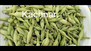 Kachnar Gosht recipe Jo khaey apka fan ho JaeyKachnar ki sabziEasy Kachnar with mutton [upl. by Bock]