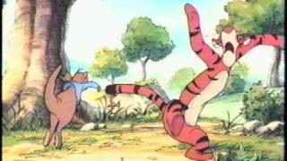 Opening to The New Adventures of Winnie the Pooh Volume 4  Theres No Camp Like Home 1990 VHS [upl. by Arerrac]