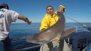 Los CAZONES tambien presentes en esta pesca de altura [upl. by Eleinad]