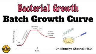 Phases of Bacterial Growth Curve microbiology growth bacteriology [upl. by Shulock]