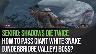 Sekiro Shadows Die Twice  How to pass giant white snake Underbridge Valley boss [upl. by Onofredo]