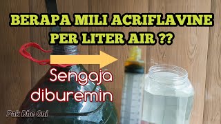 Sudah tahu dosis Acriflavine Yakiinnn  Berapa mili Acriflavine per liter air [upl. by Garek100]