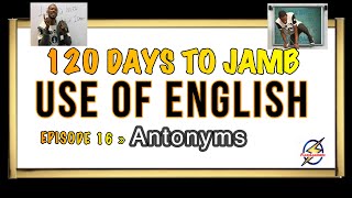 Words amp Antonyms III » 120 Days To Jamb English  Episode 16 [upl. by Adidnere]