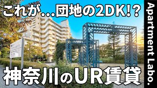 これがUR賃貸住宅！？住み続けたくなる好環境なリノベされたお部屋【団地で二人暮らし】 [upl. by Warring]