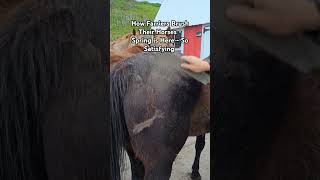 How Farriers Brush Their Horses  Spring is Here  So Satisfying foryou horse farrier asmr [upl. by Eixid]