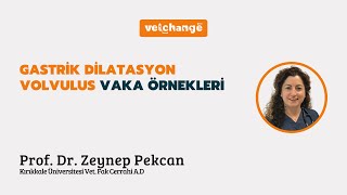 Gastrik Dilatasyon Volvulus Vaka Örnekleri Prof Dr Zeynep Pekcan [upl. by Eiramlatsyrc]