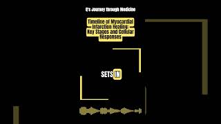 Almost Daily Medical Tutorial Key Stages and Cellular Responses Post MI [upl. by Aicirtac]