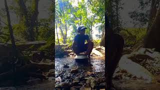 ඒක හරි සුන්දර තැනක් 🍃🌳🌲🦚travel visit viralvideo srilankatravel thuya nature foryou tranding [upl. by Olim]