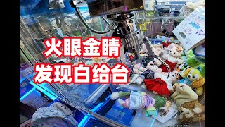 在香港发动火眼金睛技能，成功找到白给娃娃机台！ [upl. by Aniaj]