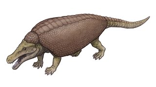 Paleo Profile  Armadillosuchus [upl. by Aristotle443]