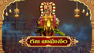 🔴LIVE  Gaja Vahanam  Tirumala Tirupati Sri Venkateshwara Swamy Bramostavalu  2024 [upl. by Pros]