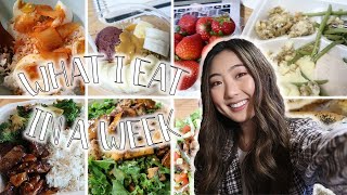 WHAT I EAT IN A WEEK AS A PREMED Realistic  Saving Money SelfCare Workouts  Covid Testing [upl. by Cottrell]