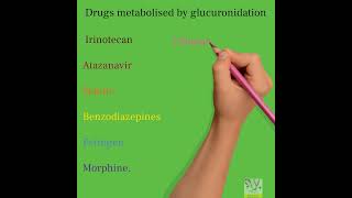 Drugs metabolized by glucuronidation neetpreparation neetpg pharmacy pharmacology [upl. by Gee]