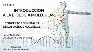 🔴 1 Conceptos Generales de los ÁCIDOS NUCLEICOS  ► BIOLOGIA MOLECULAR [upl. by Downey915]