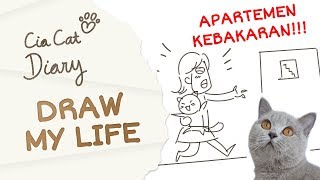 Draw My Life Kucing British Shorthair yang Ceria  Cia Cat Diary  Ep 24 [upl. by Snah]