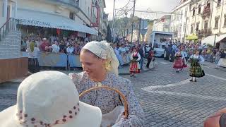 VIANA DO CASTELO DESFILE ETNOGRÁFICO 17 AGOSTO 2024 VÍDEO TORRES FRANCISCO TORRES SUBS CANAL OBG [upl. by Hplodnar]