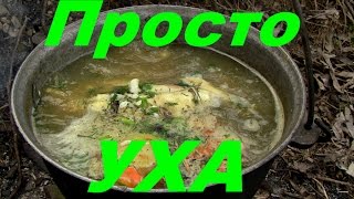 УХА рецепт от канала Дневник рыболова [upl. by Lyndsie973]