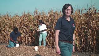 A Day in the Life of Scientist Laura Christianson  agronomist and water quality engineer [upl. by Auohs]