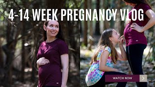 414 Week Pregnancy Update  Ultrasounds Subchorionic Hematoma Symptoms  Erin Blaskie  babyvlog [upl. by Syla852]